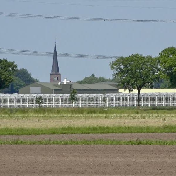 𝗠𝗲𝗱𝗲𝗱𝗲𝗹𝗶𝗻𝗴 𝗼𝗻𝗱𝗲𝗿𝗻𝗲𝗺𝗲𝗿𝘀 𝘂𝗶𝘁 𝗚𝗹𝗮𝘀𝘁𝘂𝗶𝗻𝗯𝗼𝘂𝘄𝗴𝗲𝗯𝗶𝗲𝗱 𝗱𝗲 𝗞𝗶𝗲𝘃𝗶𝘁 𝗯𝗲𝘁𝗿𝗲𝗳𝗳𝗲𝗻𝗱𝗲 𝗪𝗶𝗻𝗱-𝗶𝗻𝗶𝘁𝗶𝗮𝘁𝗶𝗲𝗳.