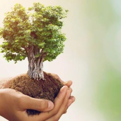 Grashoek Groeit & Bloeit! Eerste Updates van de&nbsp;Groengroep!